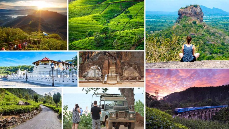 Travel