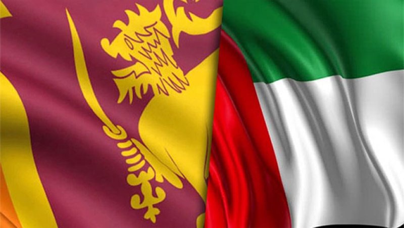 President Dissanayake lauds UAE flood relief efforts