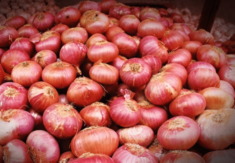  India bans export of onions till March 2024