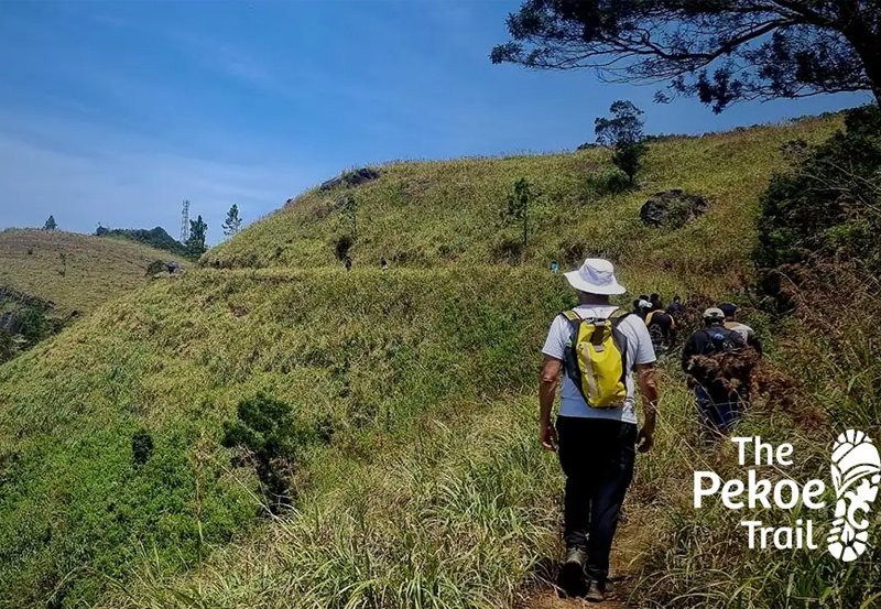 SL's Pekoe Trails wins best Wider World Tourism award