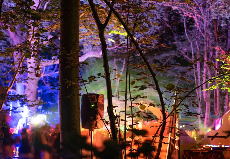 Forest officials arrest 22 youth partying in Knuckles 