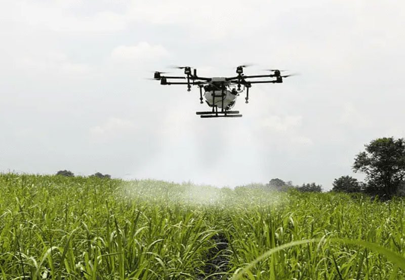 Ministry deploys drones for paddy fields