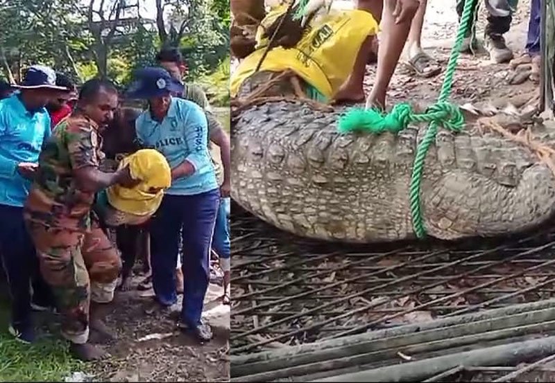 Crocodile caught following pilgrim attack in Menikganga