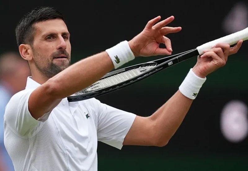 Djokovic sets up Alcaraz rematch in Wimbledon final