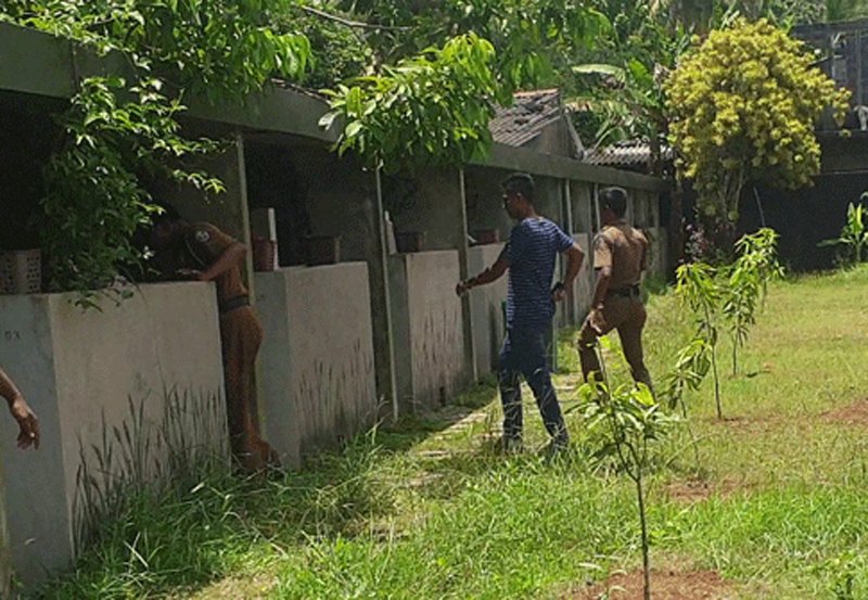 Minor couples found in Homagama garden cabins