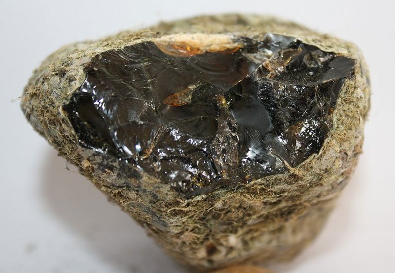 Police arrests suspects with Rs. 1 Billion worth  ambergris