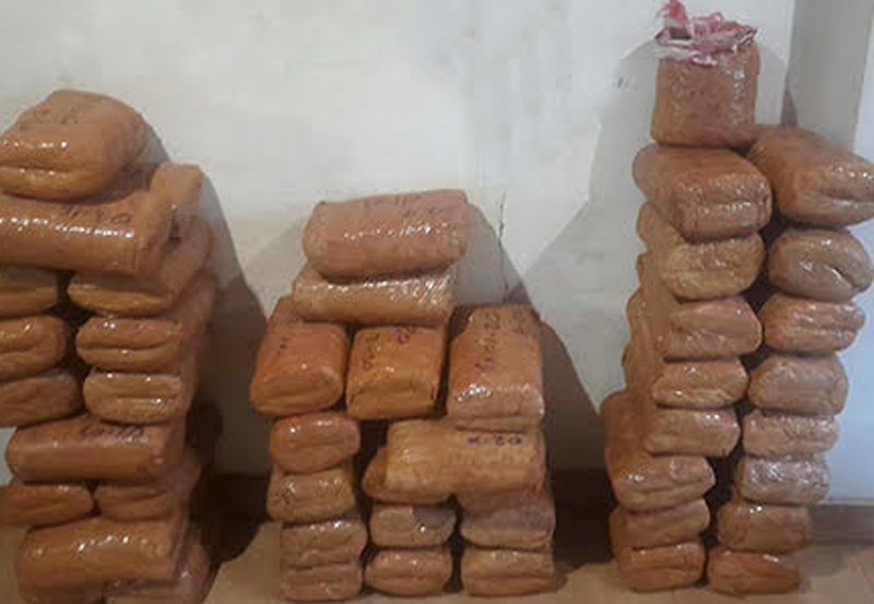 Navy seizes KG worth over Rs. 40 million in Jaffna