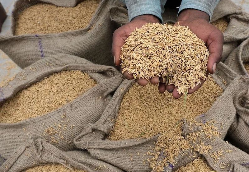 Sri Lanka may relax rules on rice by-products: Lal Kantha