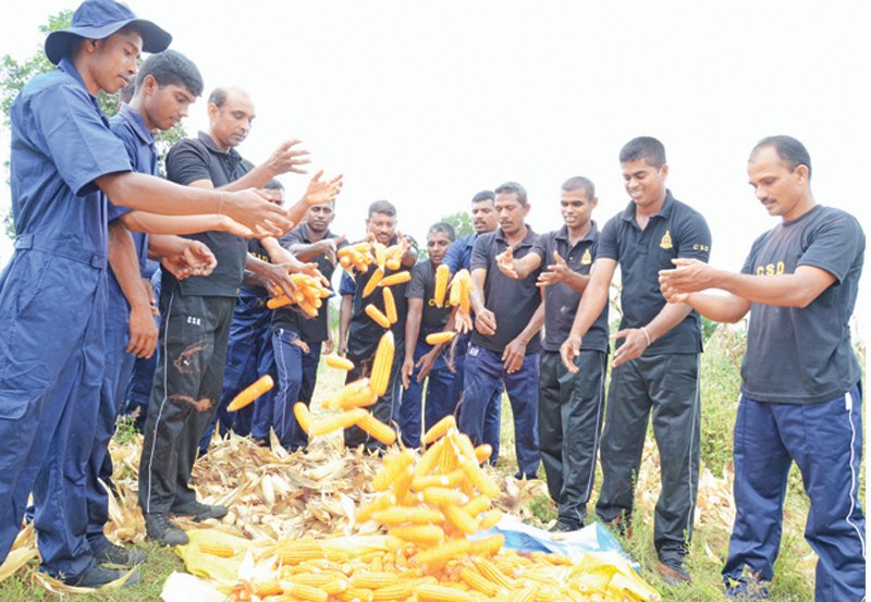 CSD personnel's dual roles under scrutiny: MoD orders probe