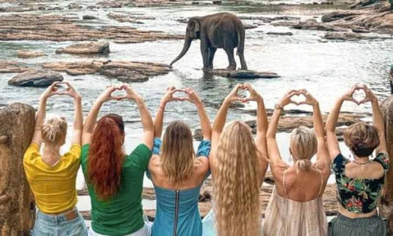 Tourism boom: India sends record numbers to Sri Lanka