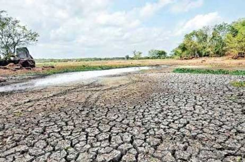Parakrama Samudraya dries up as drought bites
