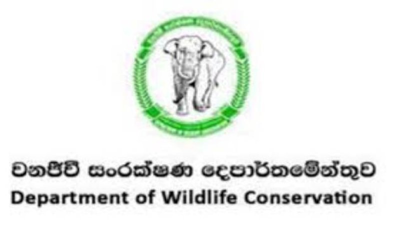 Focus on addressing manpower shortages in Wildlife Dept.
