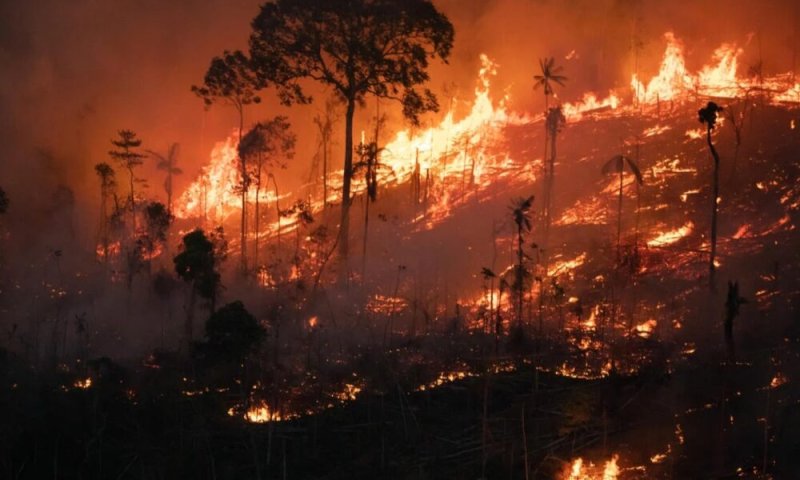 Fire Destroys 5 Acres of Bagawantalawa Samanala Reserve