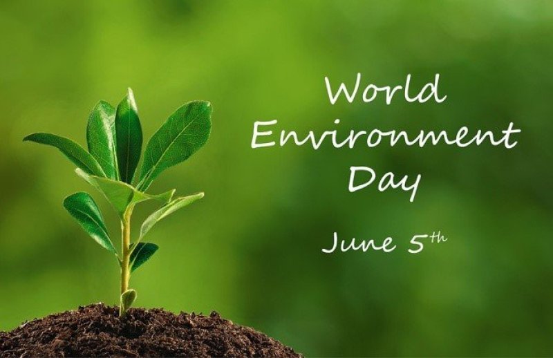 Today is World Environment Day
