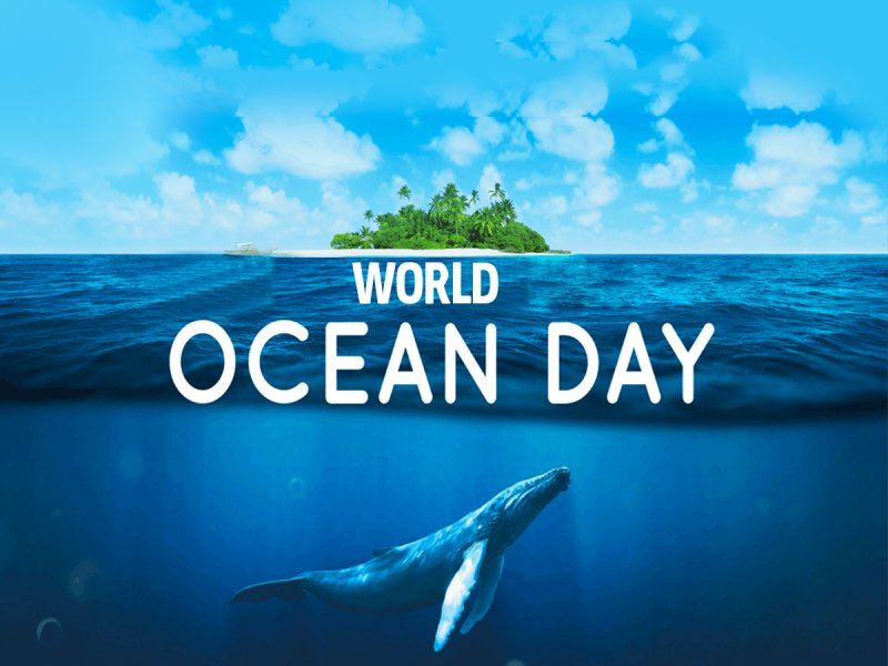 World Oceans Day being observed today