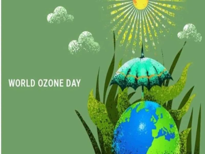 International-News
