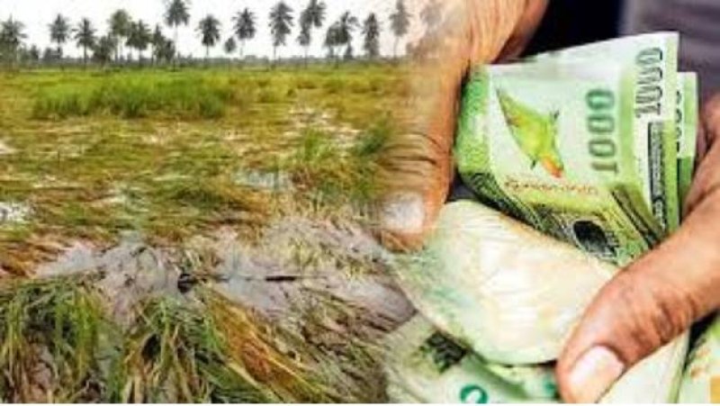 Insurance support activated for farmers hit by Yala rains
