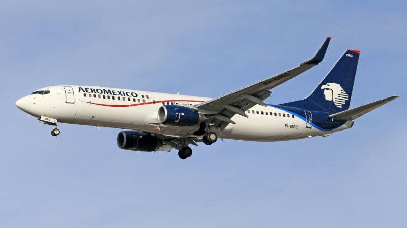 Aeromexico passenger opens plane door and walks on wing 