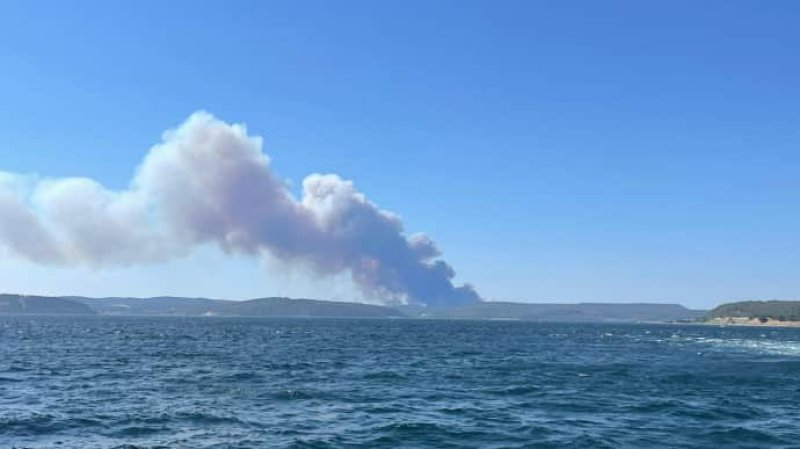 International-News