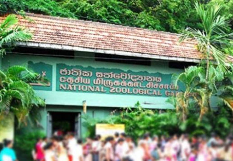 Free entrance to Dehiwala Zoo on children 's day