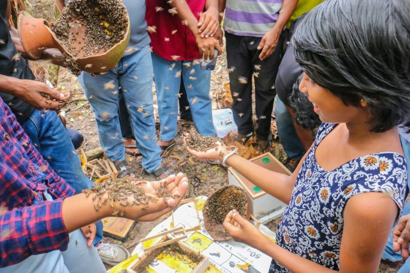 SL  inaugurates first bee park to promote production