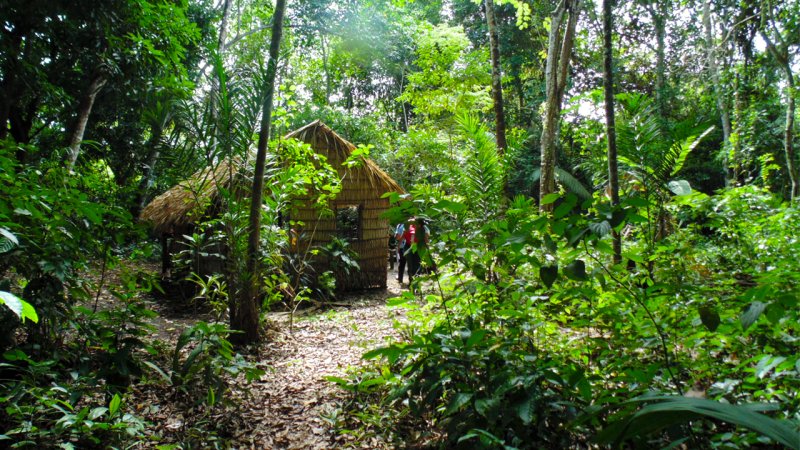 Huge ancient city found in the Amazon