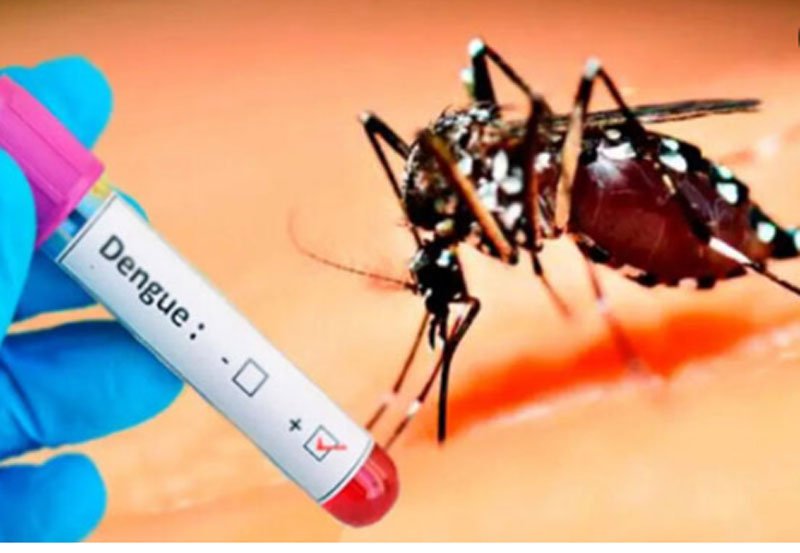 Dengue outbreak worsens in Sri Lanka with 50 fatalities