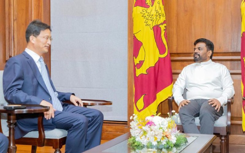 Chinese Ambassador Meets President Dissanayake