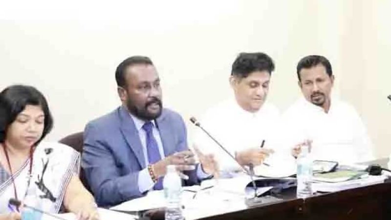 Parliament committee proposes eco-friendly paper bags