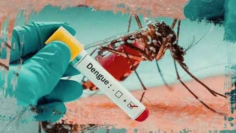 Dengue cases rise compared to last year: NDCU