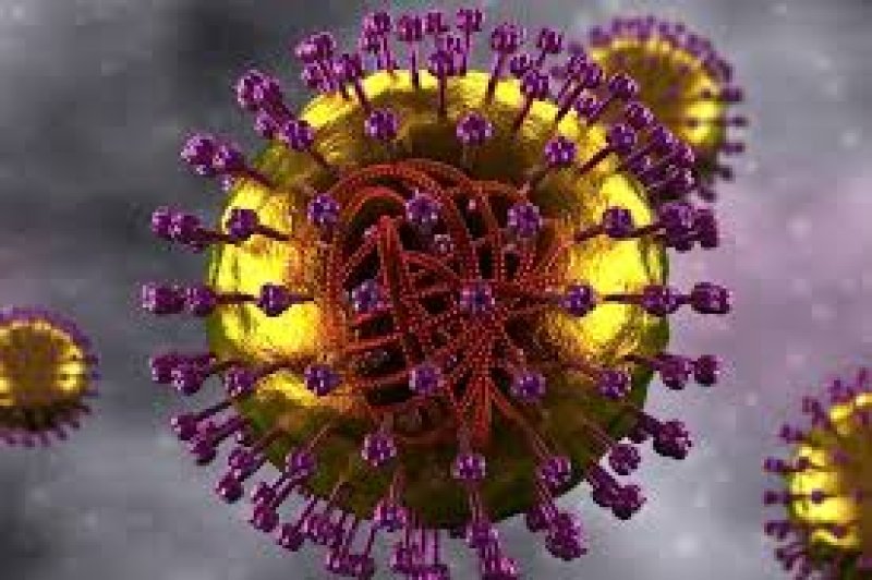 Measles on the rise in nine districts