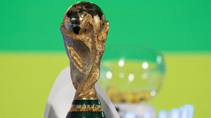 Iranian minister says country will not play in World Cup