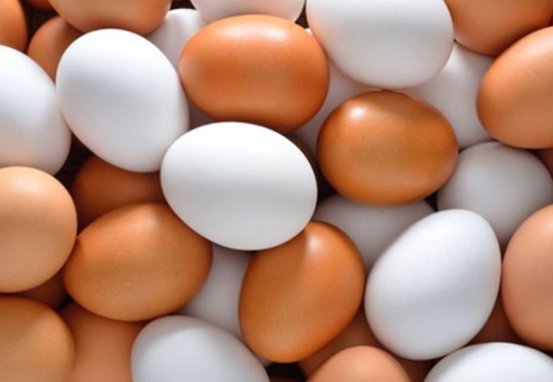 All Ceylon Egg Traders&rsquo; Association announces price hike