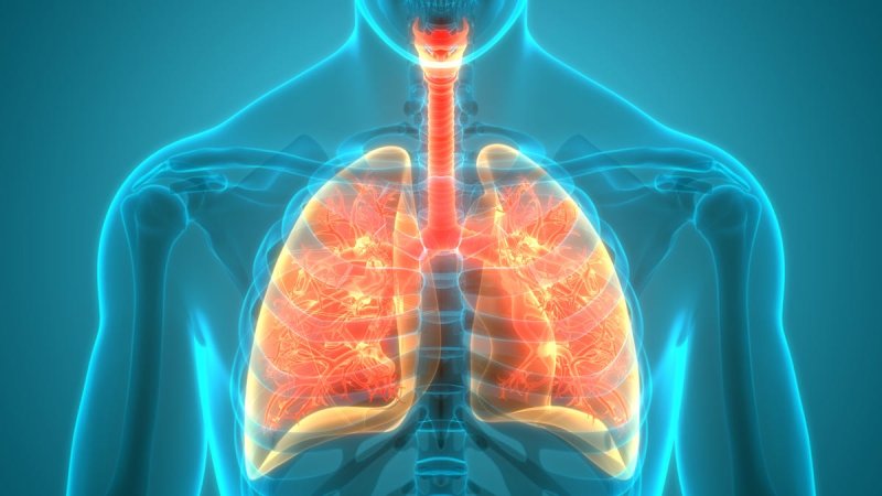 Intl Conference on Respiratory Health to be Held in Colombo