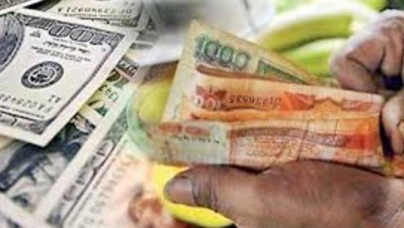 Foreign exchange remittances rise 19% in April 2026