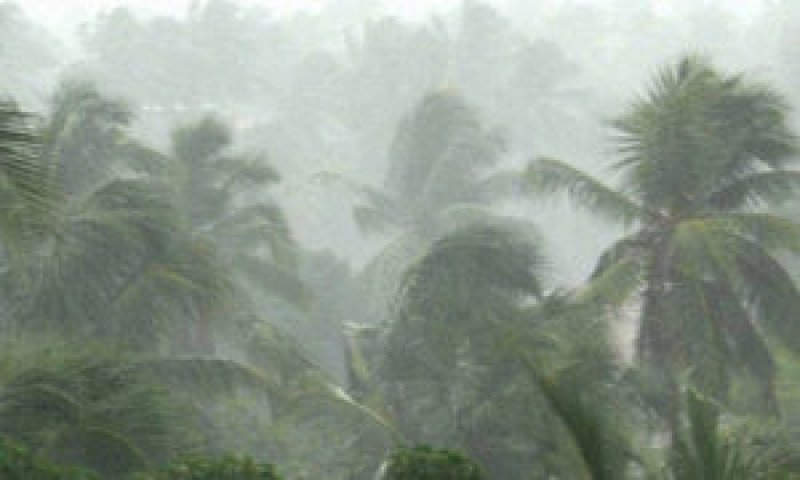 Heavy showers above 100mm are likely at some districts
