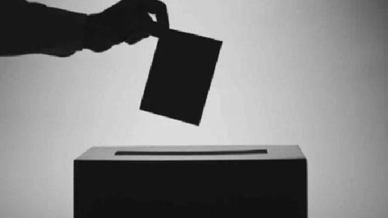 Special Leave granted to Public and Private Sector to Vote