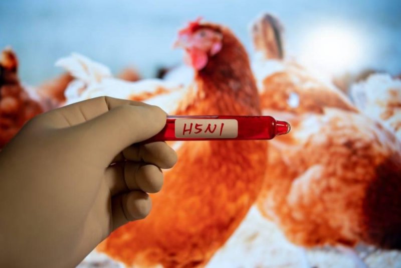WHO Urges Sri Lanka to Stay Concerned Over Bird Flu