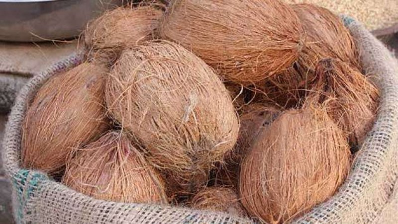 Ministry of Plantations launches Mobile Coconut Sales 
