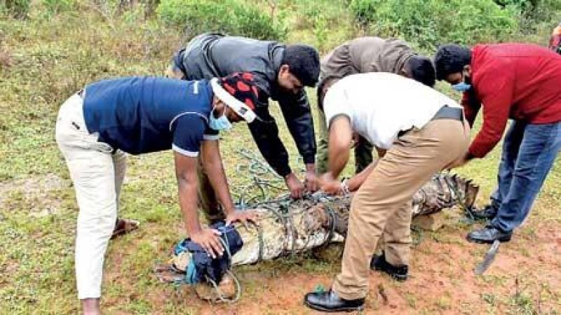 Medal awarding for wildlife officers to be held today (21)