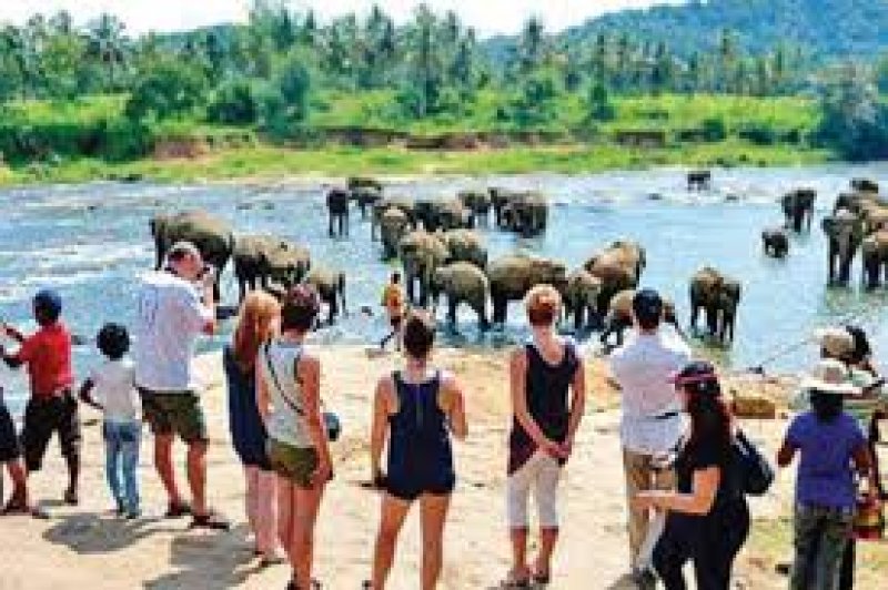 Sri Lanka cuts 2025 tourist target to 2.6 Million