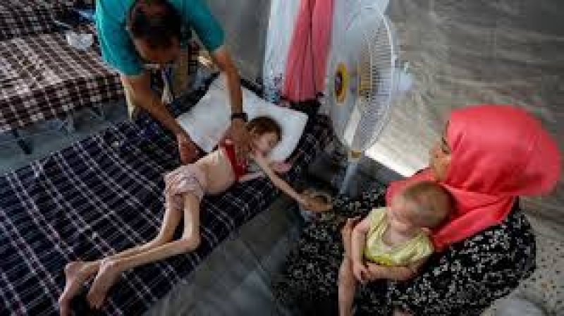 International-News