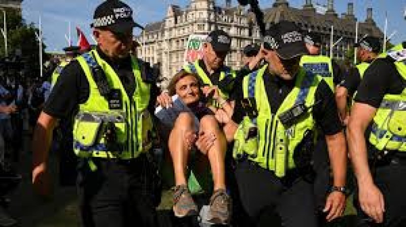 UK police arrest at least 466 people at Palestine  protest