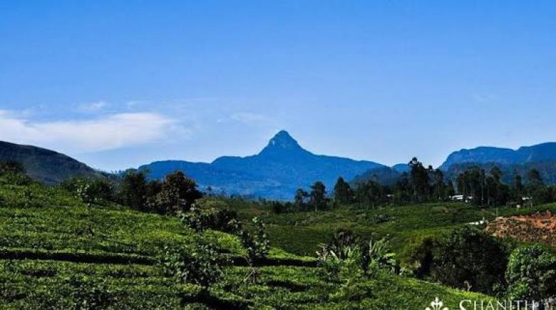 Annual Sri Pada pilgrimage season begins today (04)