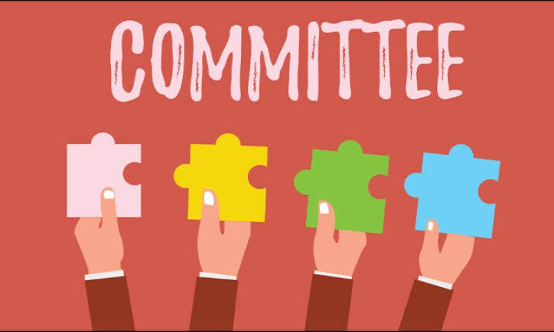Expert committee appointed to formulate national policy
