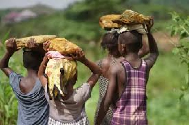 Cabinet approves to increase fines for child labour
