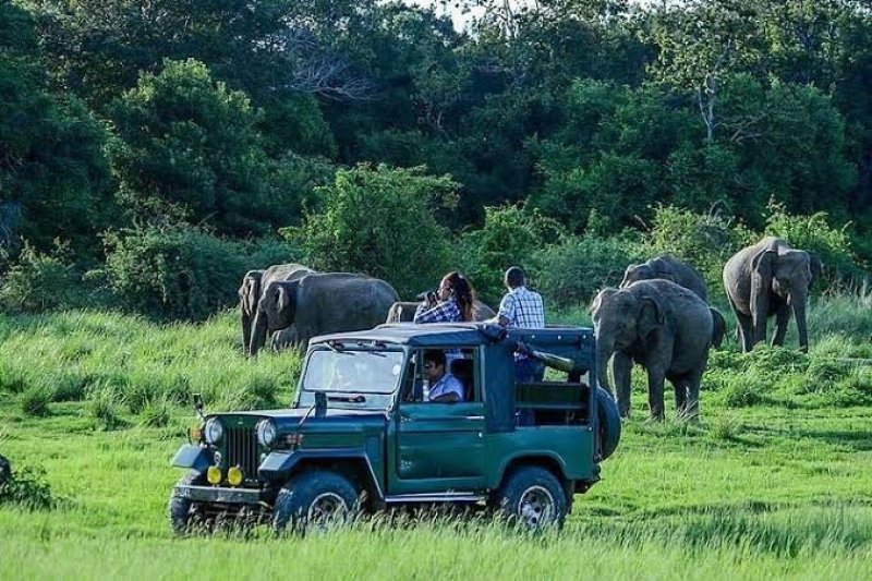Yala National Park zones 1 and 2 to close temporarily