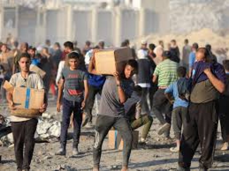 International-News