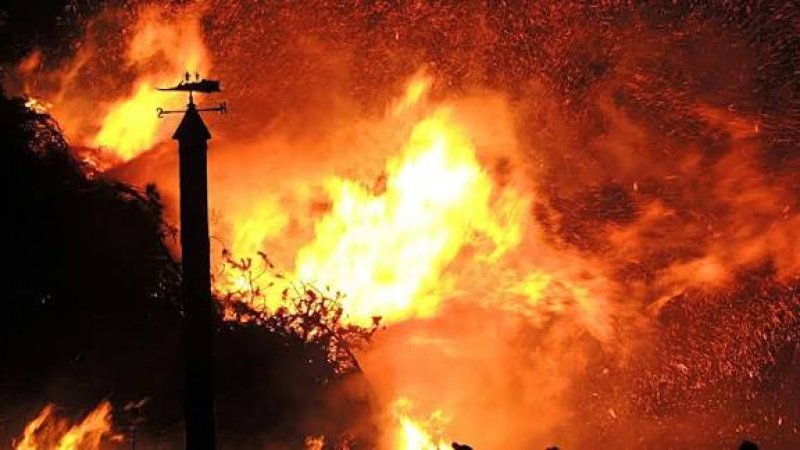 International-News