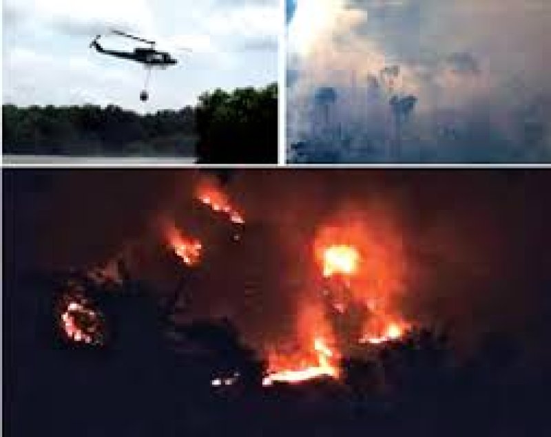 Fire Breaks Out in Rawana Ella Forest Reserve